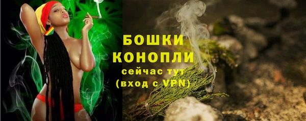 spice Богородск