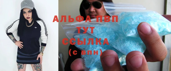 spice Богородск