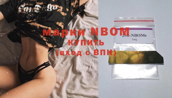 хмурый Богородицк