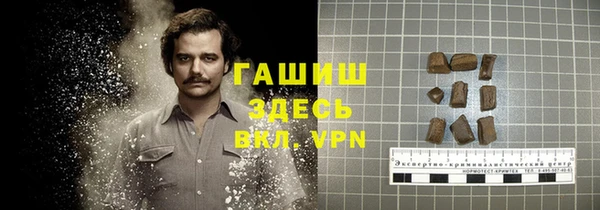 хмурый Богородицк