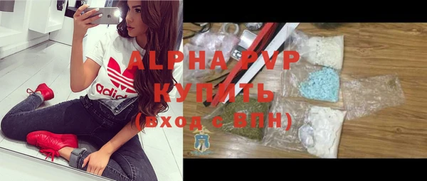 spice Богородск
